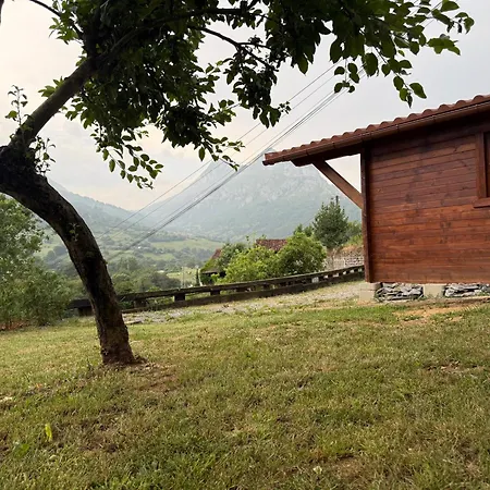 Mirador Del Oso Proaza